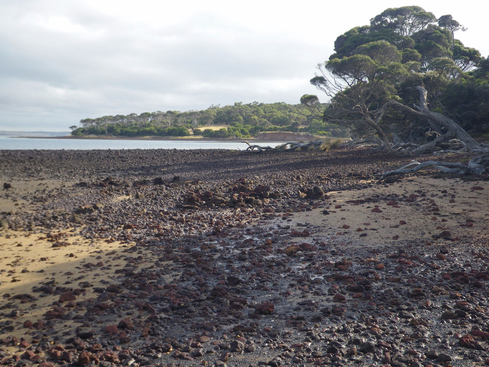 Churchill Island Marine National Park Logo and Images