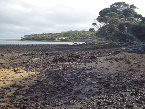 Churchill Island Marine National Park - Caravan Park Accommodation 0