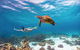 Coral Bay - thumb 0