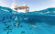 Coral Bay - thumb 1