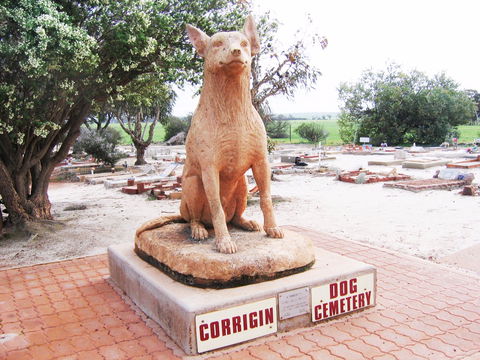 Corrigin Dog Cemetery - Attractions Perth 0