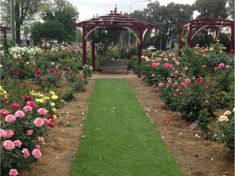 Cowra Rose Garden - Wagga Wagga Accommodation 1