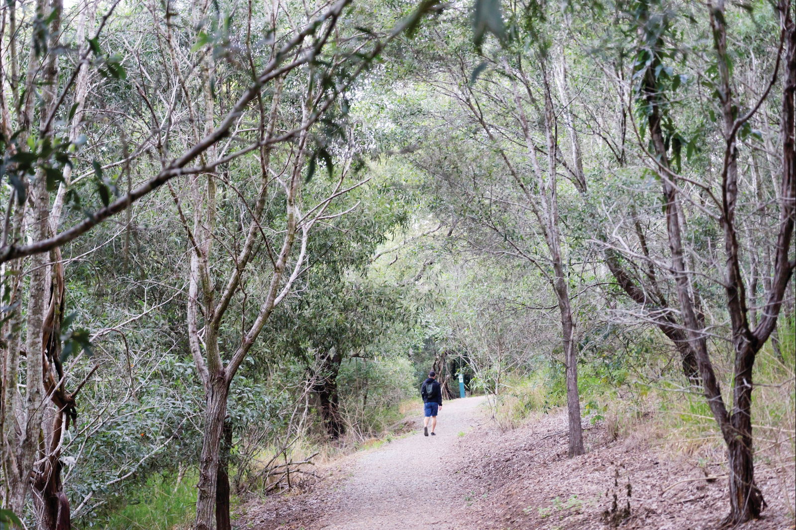 D'Aguilar National Park Logo and Images