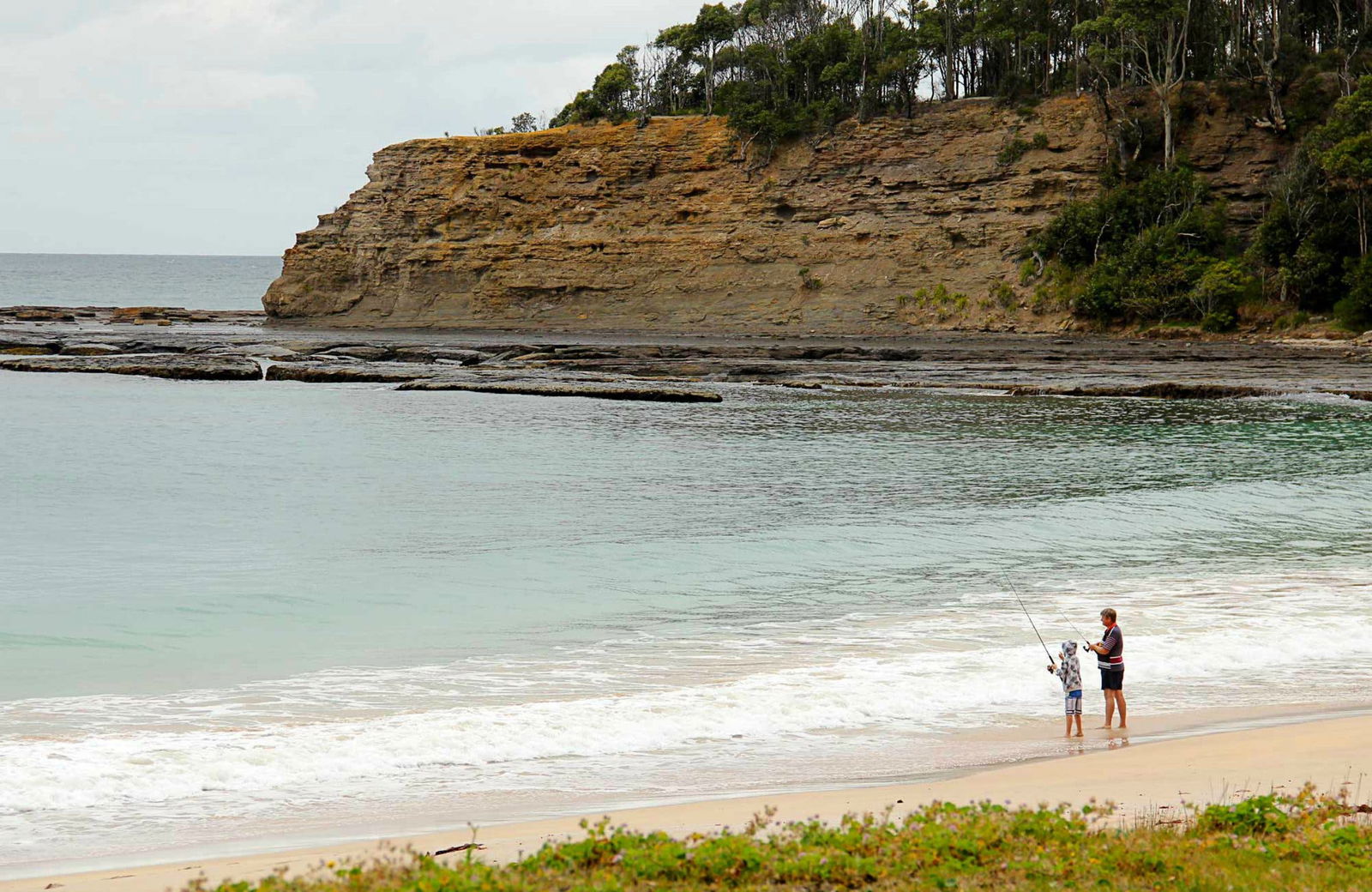 Depot Beach Picnic Area Logo and Images