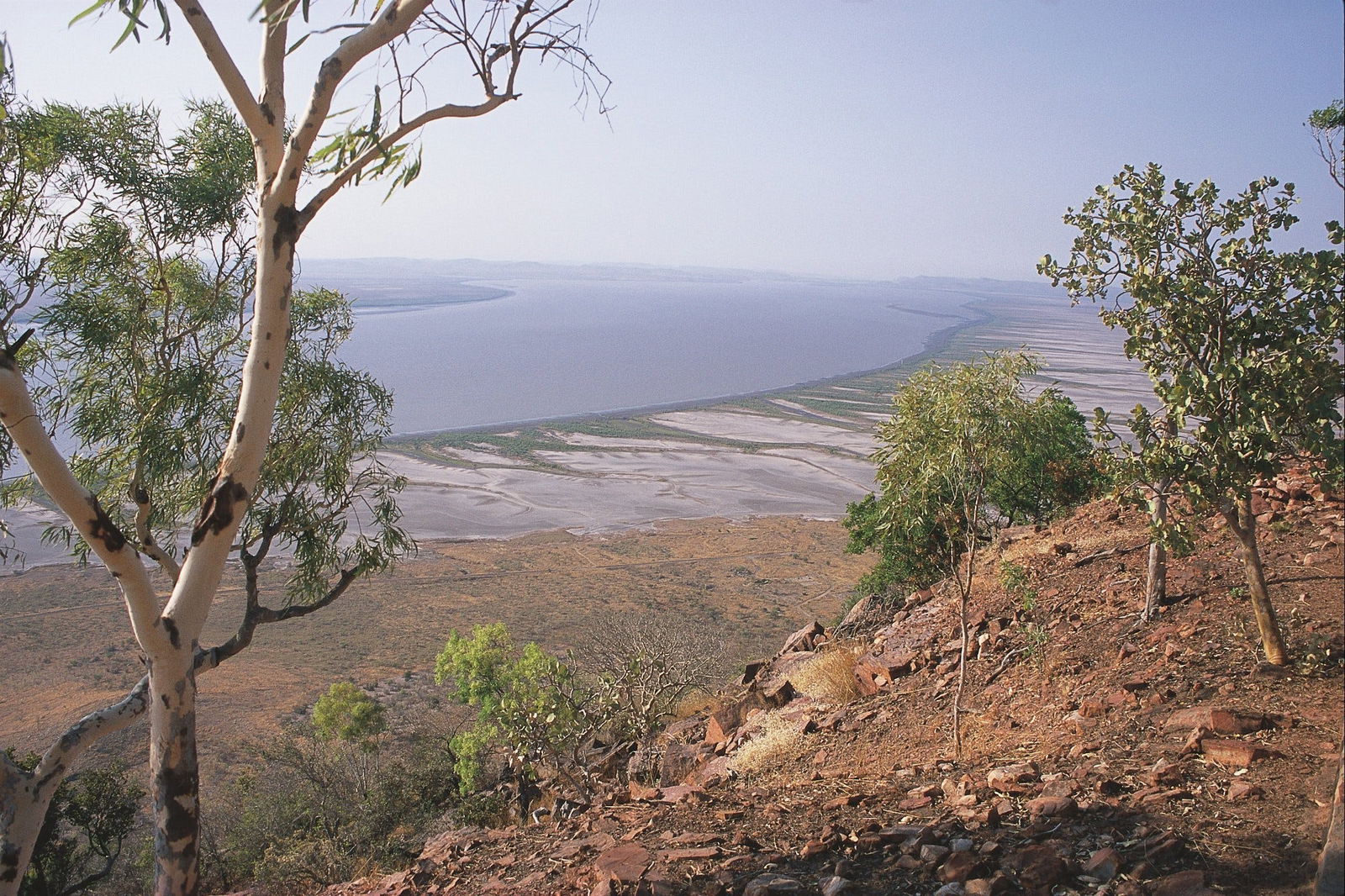 Five Rivers Lookout Logo and Images