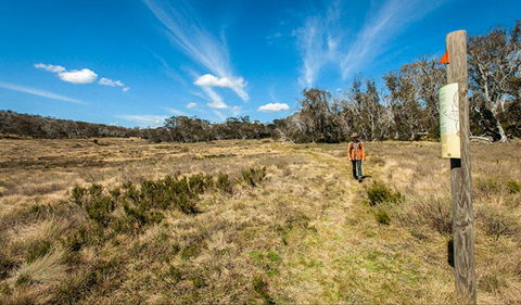 Goldseekers Track - Wagga Wagga Accommodation 0