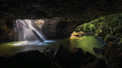Gondwana Rainforests Of Australia World Heritage Area - Accommodation Ballina 0