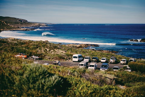 Gracetown - Holiday Sydney 0