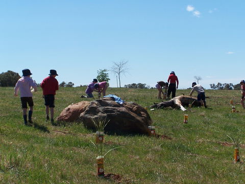 Jim Salmon  Wetland Education Site - Sunshine Coast Guide 0