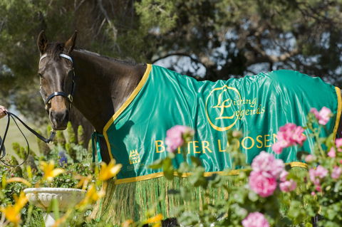 Living Legends: The International Home Of Rest For Champion Horses - Byron Bay Accommodation 0