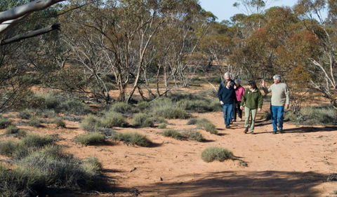 Mallee Stop Walking Track - Accommodation Brisbane 0