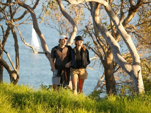Manly To Spit Bridge Scenic Walkway - Accommodation QLD 2
