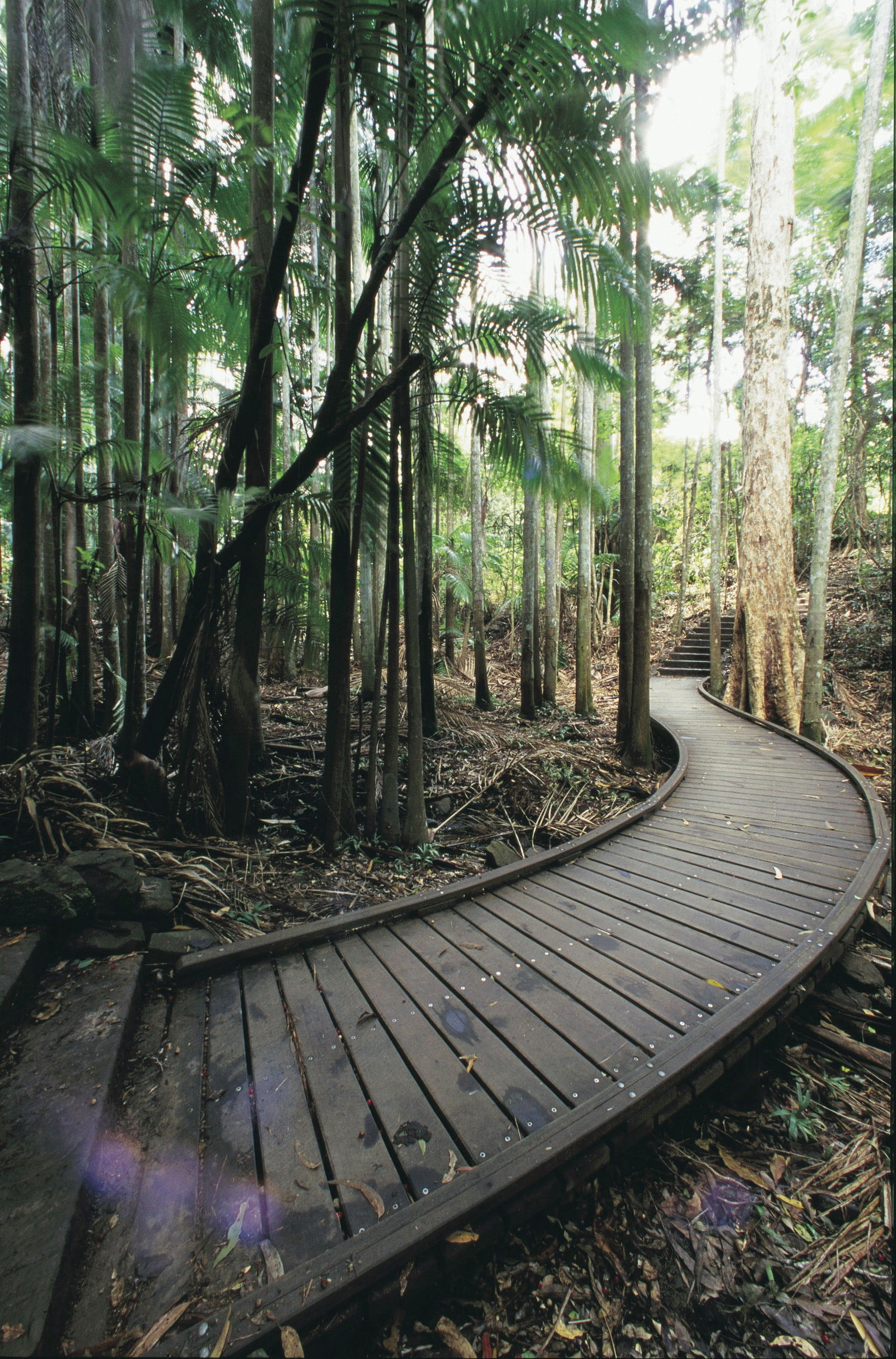 Mapleton Falls National Park Logo and Images