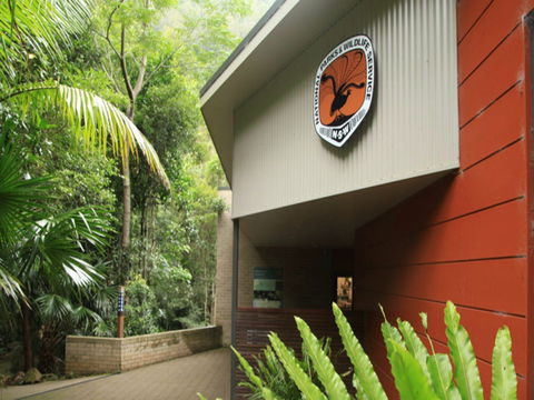 Minnamurra Rainforest Centre: Budderoo National Park - Cruises Travel 0