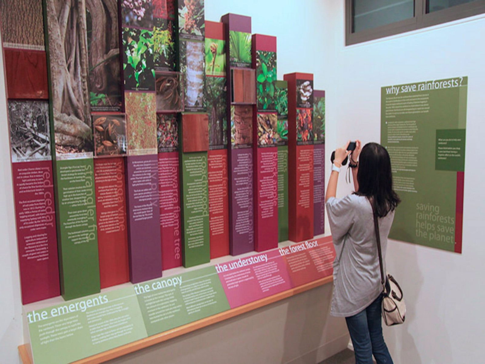 Minnamurra Rainforest Centre: Budderoo National Park Logo and Images