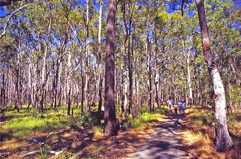 Moogerah Peaks National Park - Attractions Perth 1