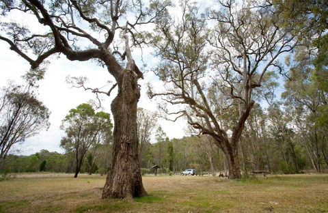 Moolarben Picnic Area - Surfers Gold Coast 0