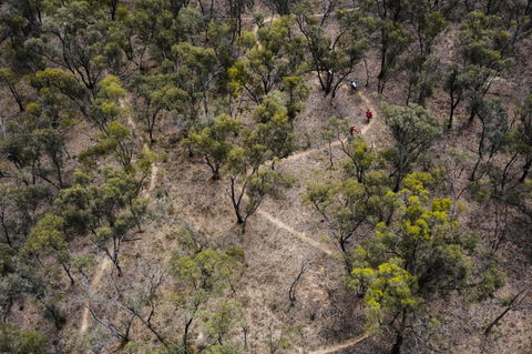Mountain Bike Trails Deniliquin - Car Rental 1