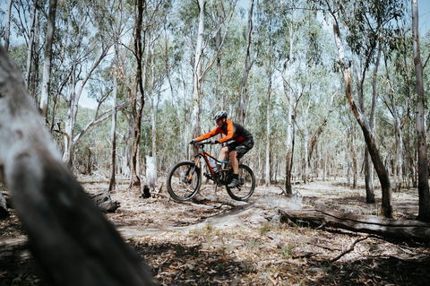 Mountain Bike Trails Deniliquin - Car Rental 2