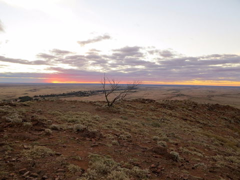 Mundi Mundi Plains - Attractions 0