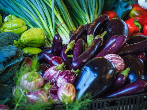 Murwillumbah Farmers' Market - New South Wales Tourism  1