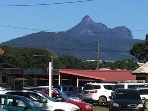 Murwillumbah Farmers' Market - New South Wales Tourism  2