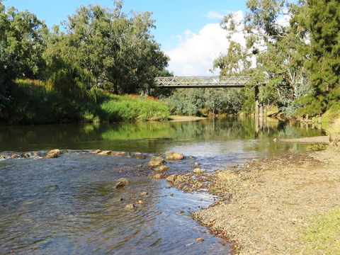 Namoi River And Woolshed Reserve - Carnarvon Accommodation 0