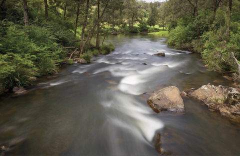 Nymboi-Binderay National Park - Accommodation Ballina 0