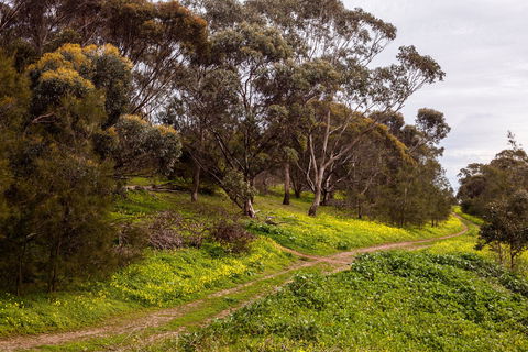 O'Halloran Hill Recreation Park - Accommodation Perth 1