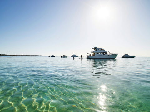 Rottnest By Ferry And Bicycle - Accommodation Port Hedland 2