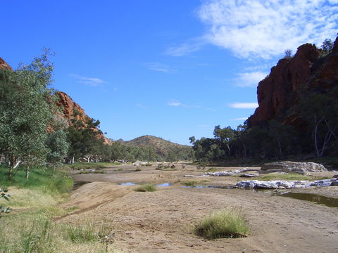 Ruby Gap Nature Park - Northern Rivers Accommodation 0