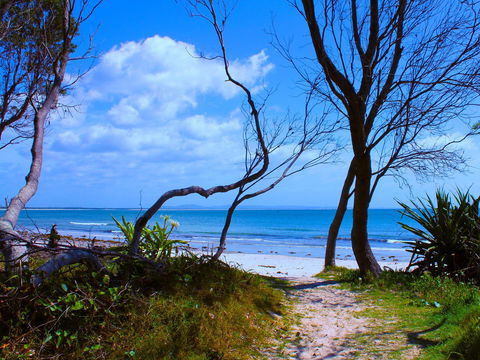 Shark Bay - Holiday Sydney 0