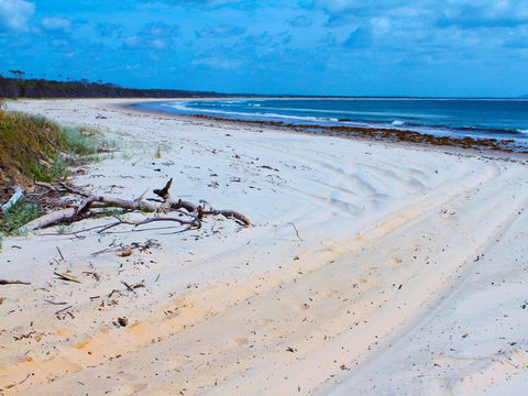 Shark Bay - Holiday Sydney 1