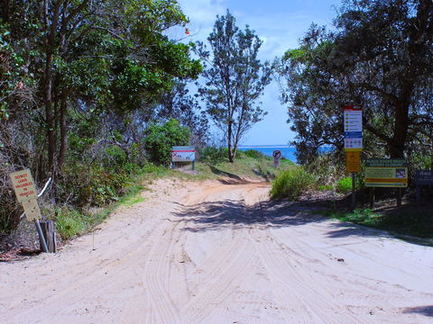 Shark Bay - Holiday Sydney 2