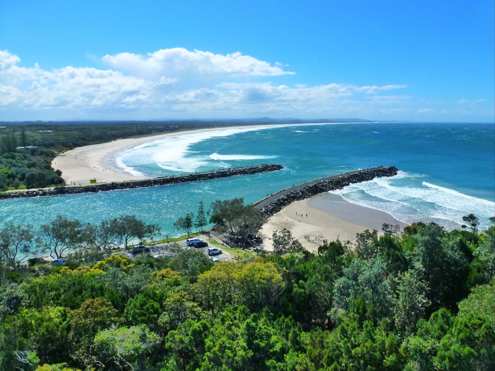 Shark Bay Logo and Images