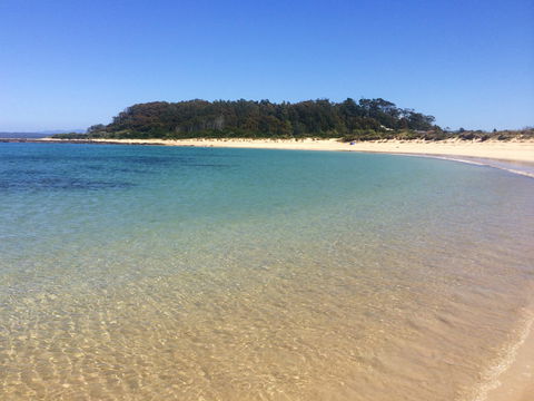 Snorkelling Broulee Island - Accommodation Whitsundays 2