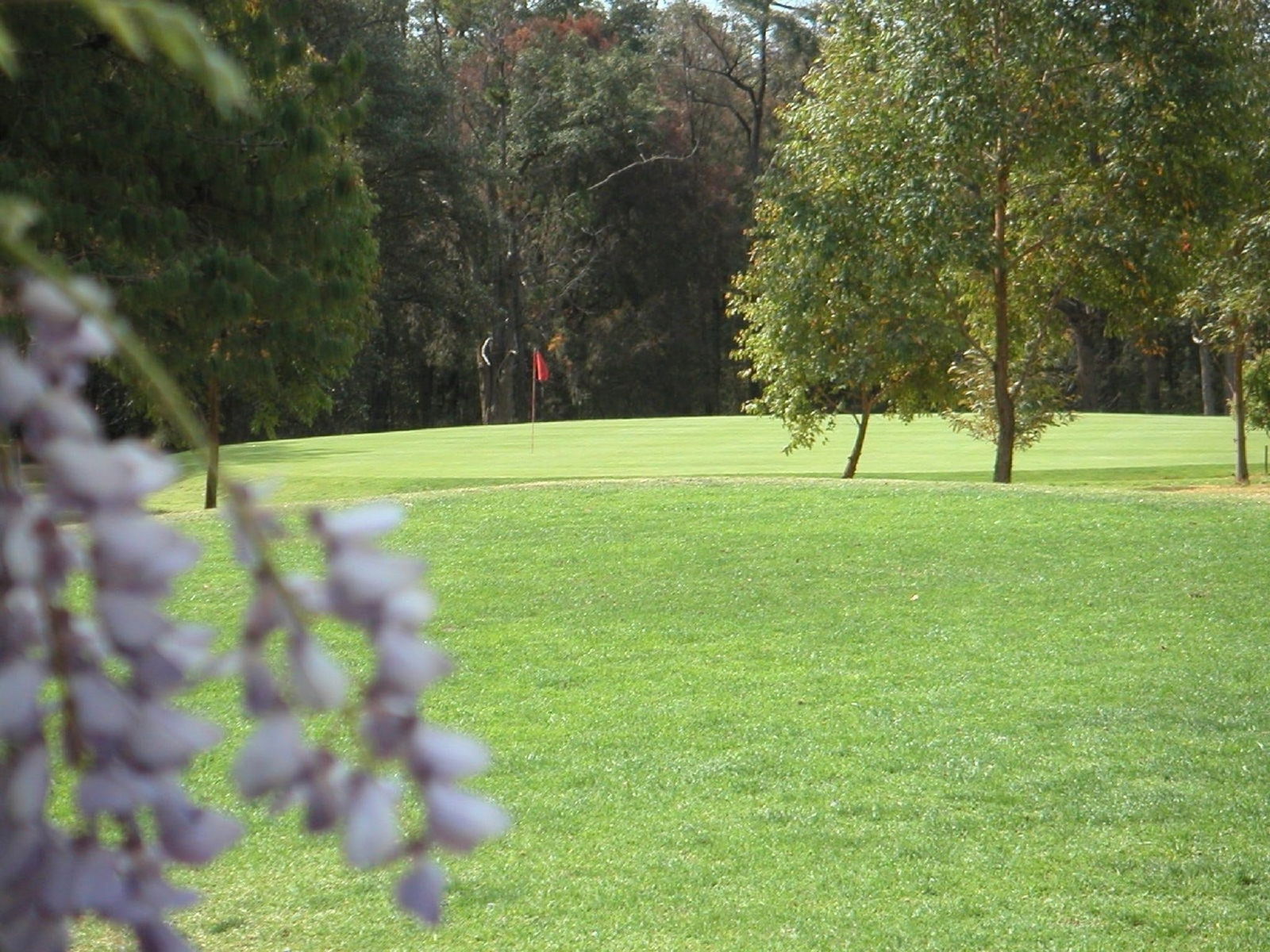 Springwood Country Club