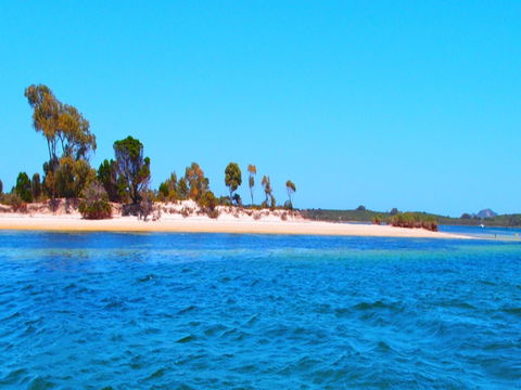 Strawbridge Point - Sunshine Coast Guide 0
