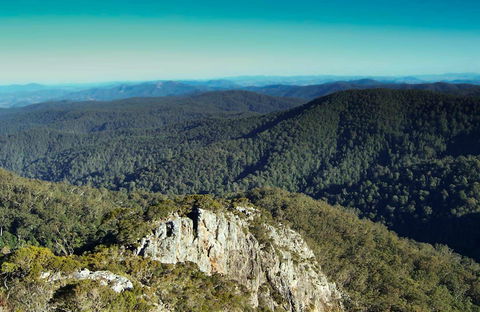 Tapin Tops National Park - Accommodation Ballina 0