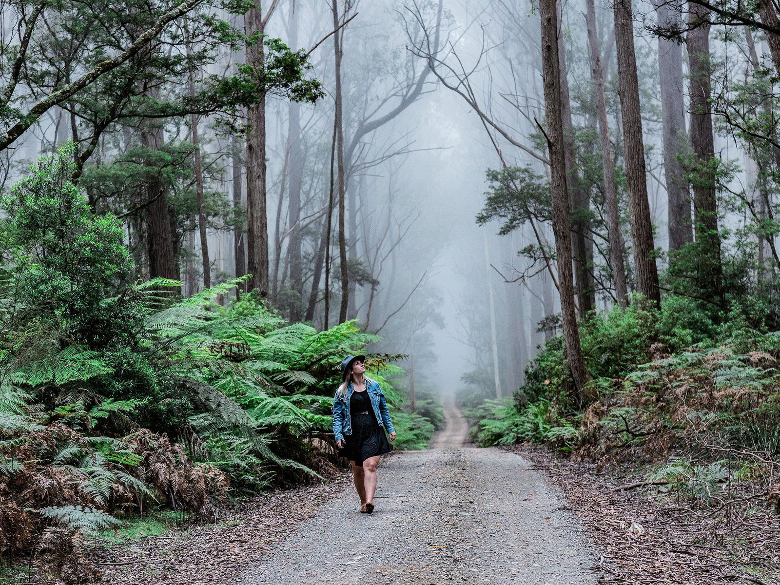 The Corn Trail Walking Track