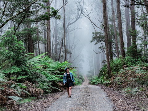 The Corn Trail Walking Track - New South Wales Tourism  0