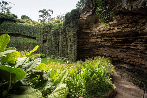 Umpherston Sinkhole - Sunshine Coast Guide 1