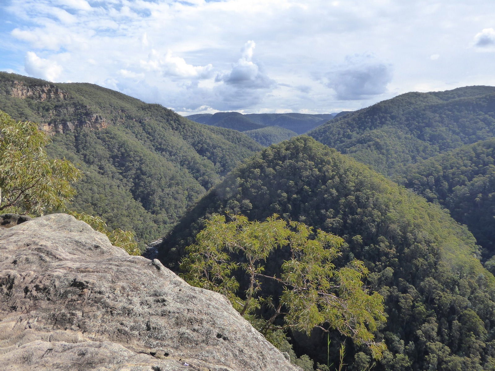 Vale of Avoca Logo and Images