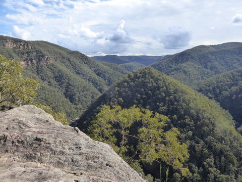 Vale Of Avoca - Attractions Perth 0