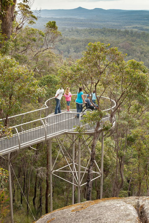 Walpole Wilderness Discovery Centre - Accommodation Mount Tamborine 0