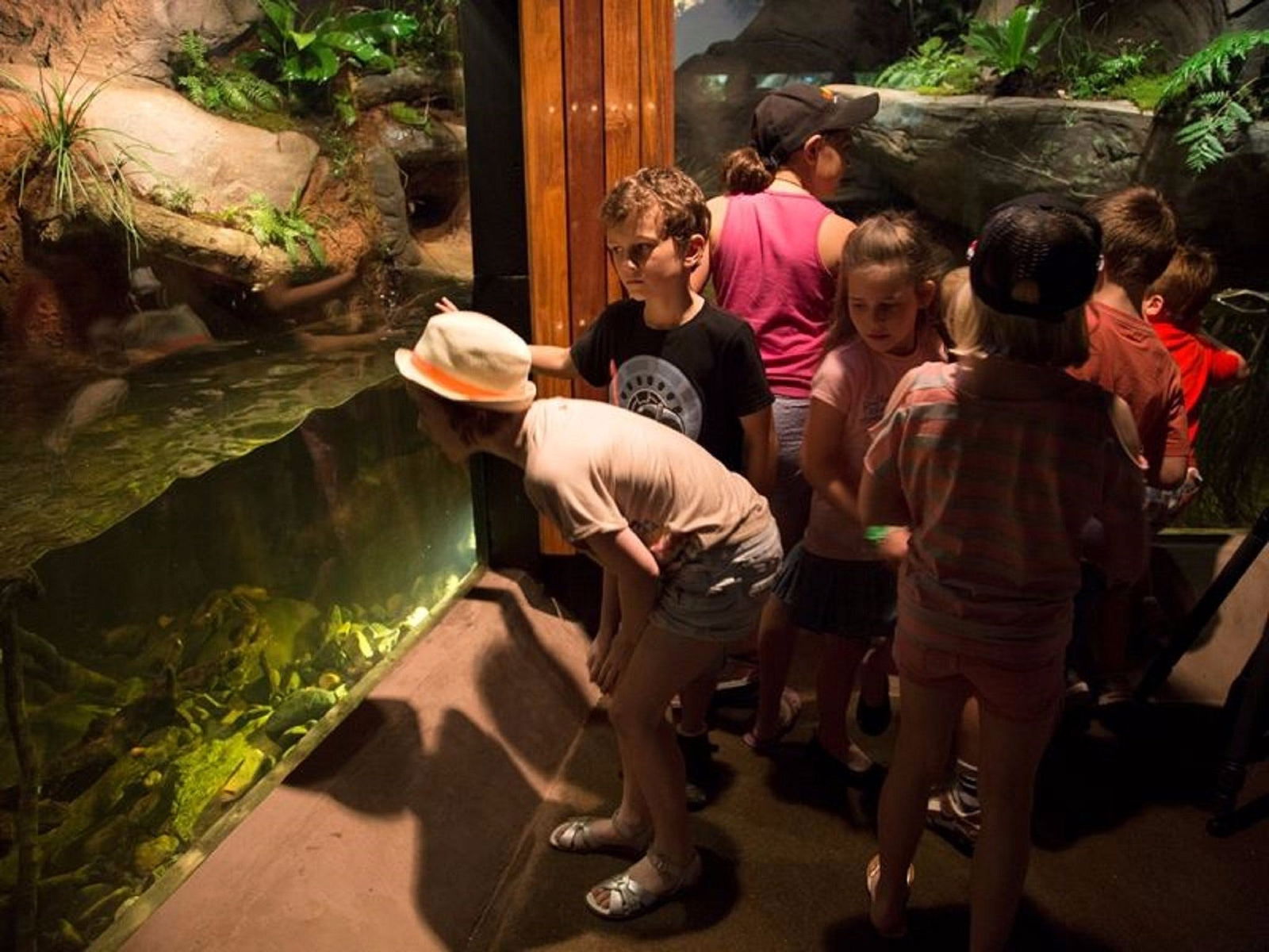 Walkabout Creek Discovery Centre Logo and Images