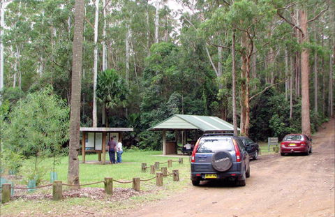 Wallingat Forest Drive - Accommodation Ballina 0
