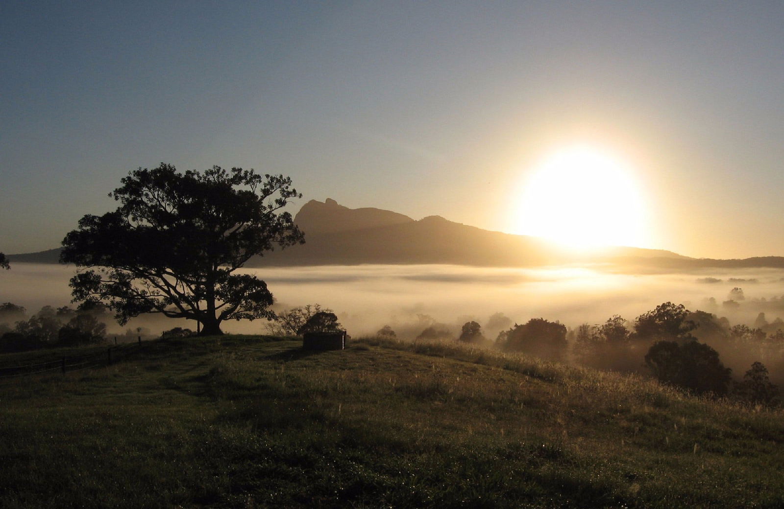 Wollumbin-Mount Warning National Park Logo and Images