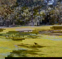 Wombeyan picnic area - Casino Accommodation