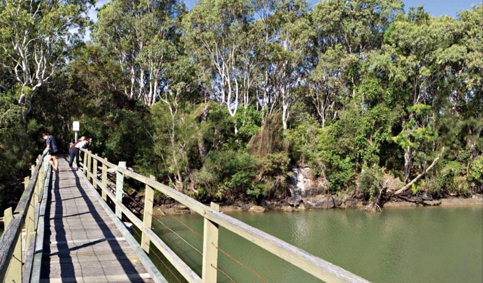 Woolgoolga Lake Logo and Images